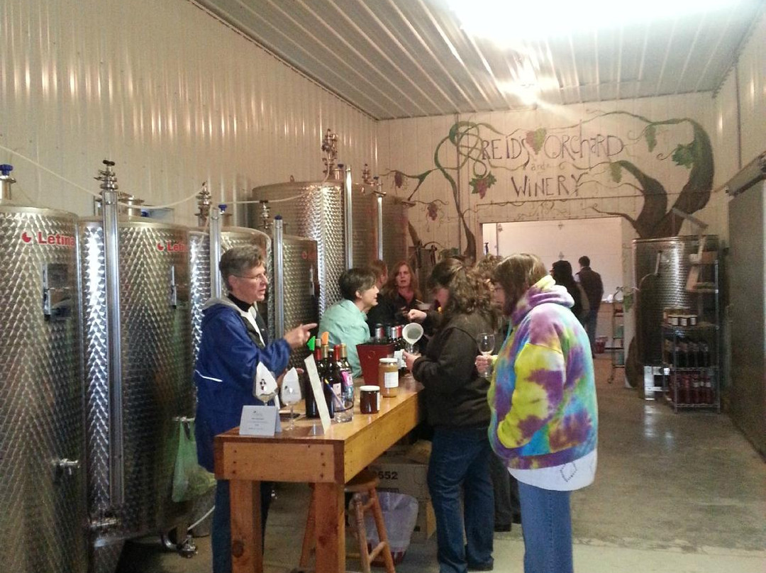 Reid's Orchard & Winery景点图片