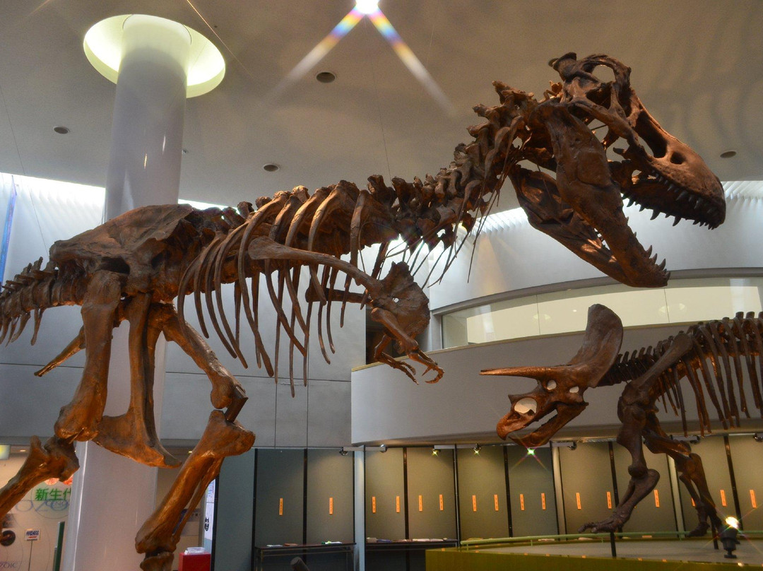 Toyohashi Museum of Natural History-丰桥市必去景点