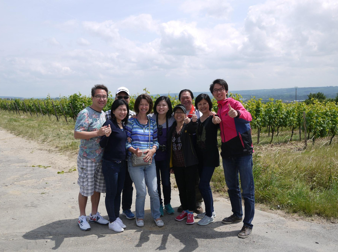 EvenTours Rheingau Tours景点图片
