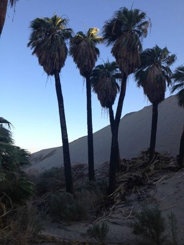 Desert Adventures Red Jeep Tours-棕榈泉市必去景点