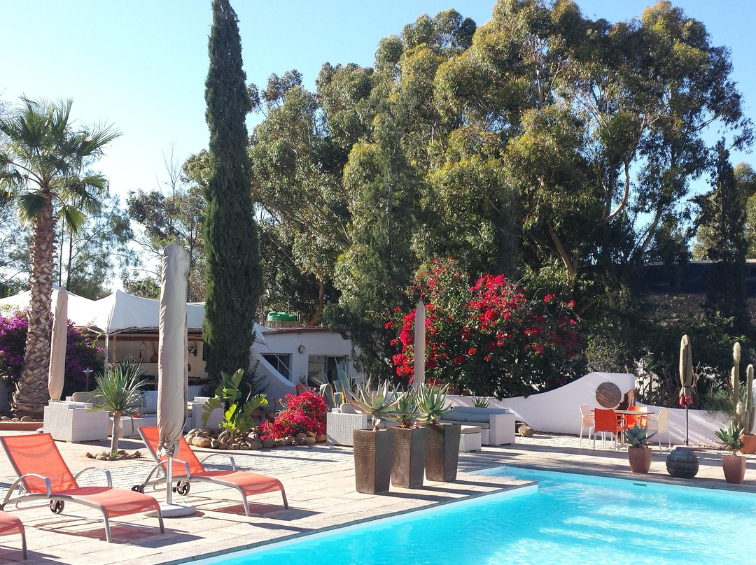 Inverdoorn Private Game Reserve-开普敦中心区必去景点