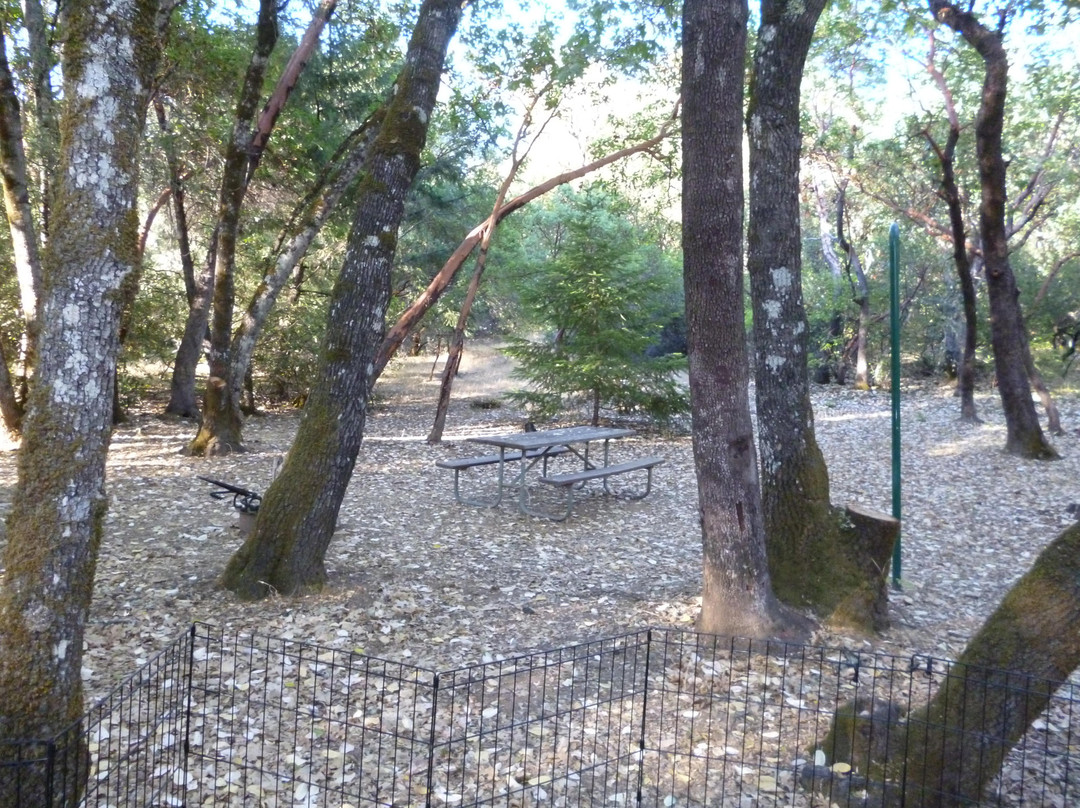 Lake Mendocino景点图片