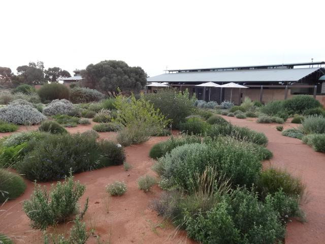 Australian Arid Lands Botanic Garden-Port Augusta必去景点