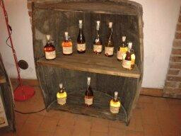 Distilleria Gualco主图