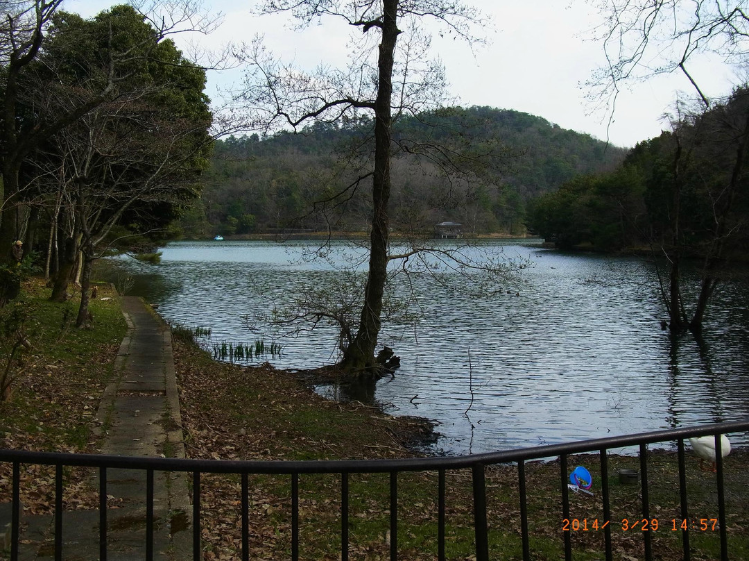 宝池公园景点图片