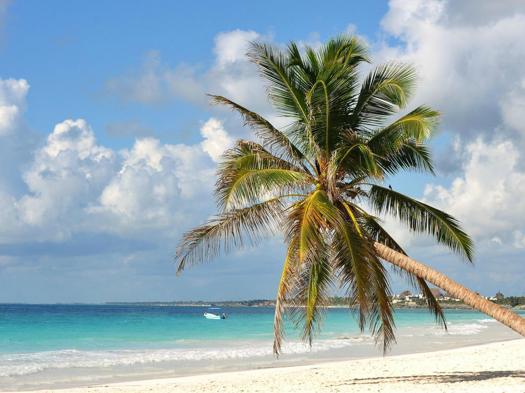 Playa Paraiso-图伦必去景点