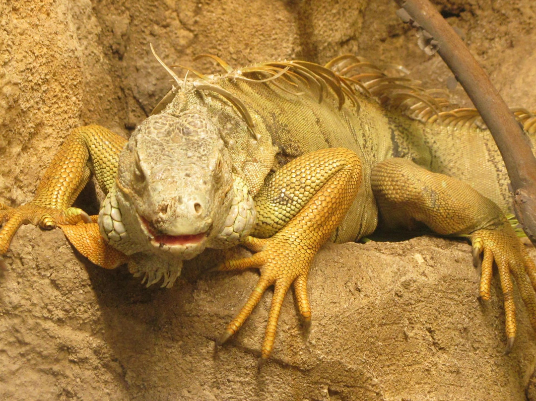 Emirates Park Zoo & Resort-阿布扎比必去景点