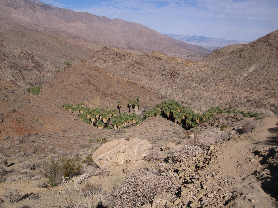 Indian Canyons Hiking Trails-棕榈泉市必去景点