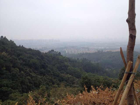 火炉山森林公园-广州市必去景点
