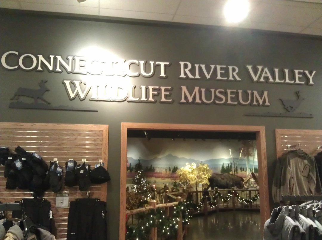 Cabela's-East Hartford必去景点