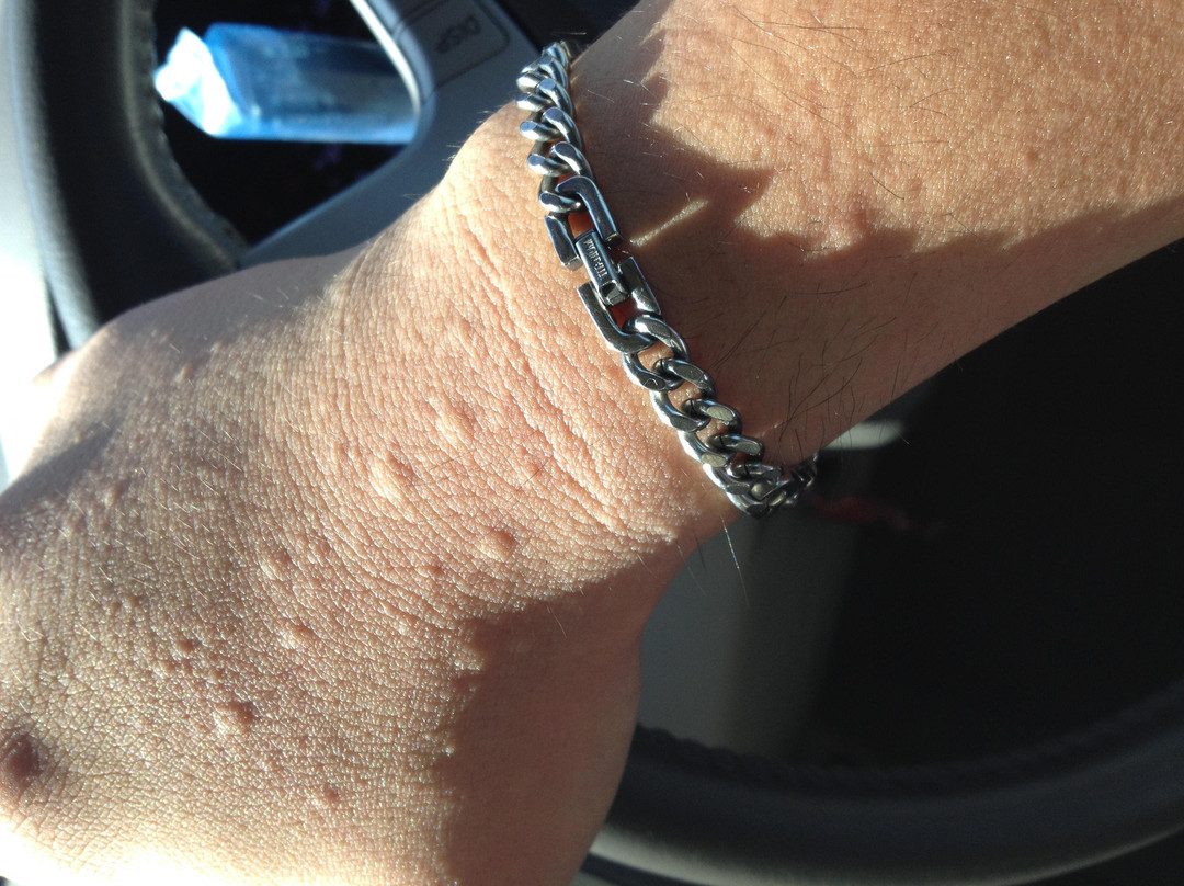 Segamat旅游攻略图片