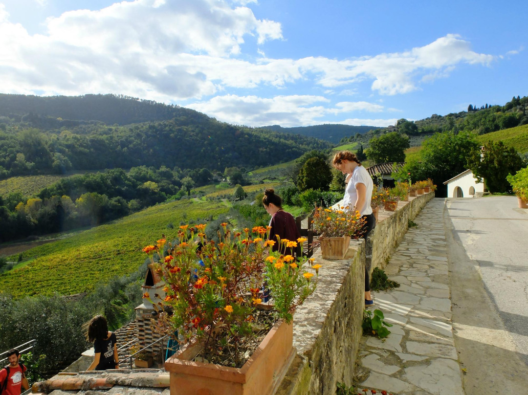 Tuscany Cycle-佛罗伦萨必去景点