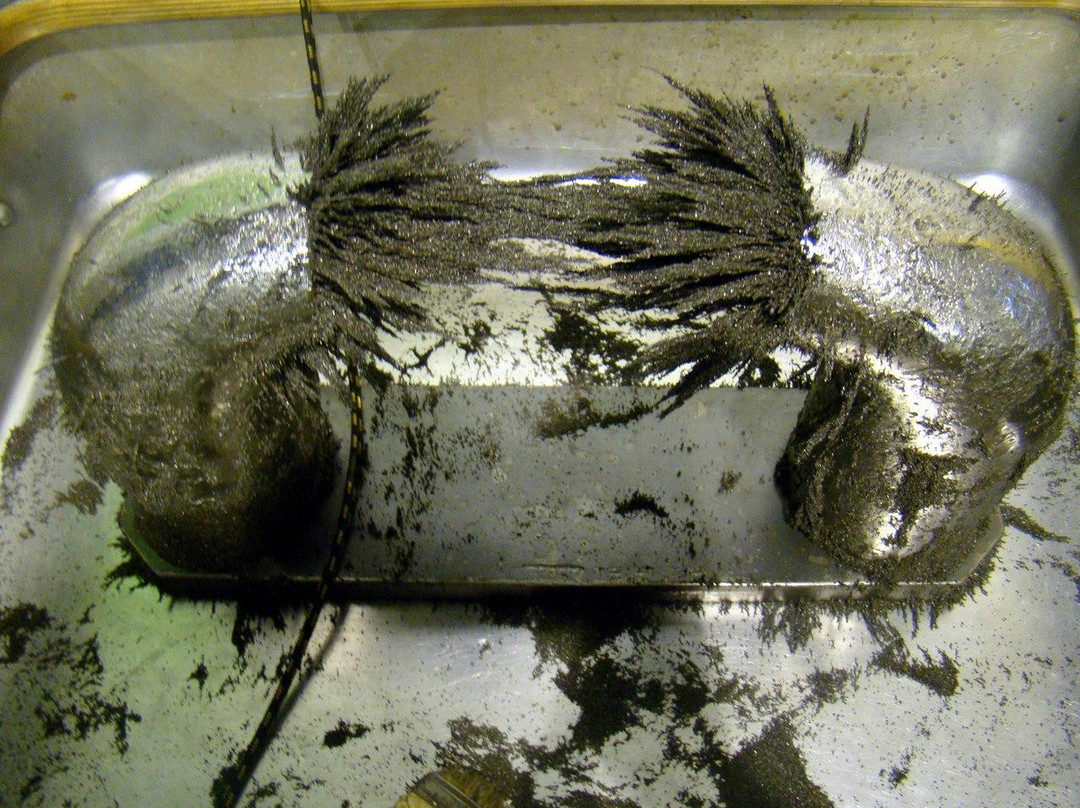 Experimentanium Museum of Entertaining Sciences-莫斯科必去景点