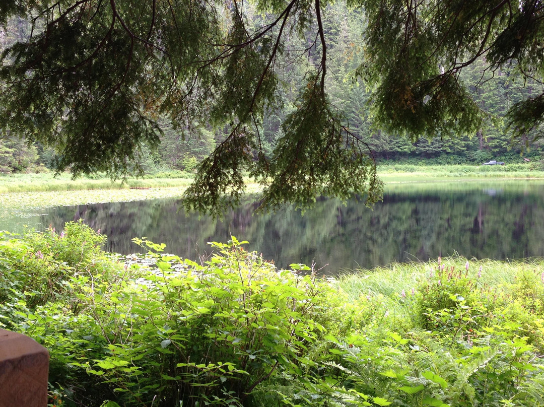Tongass National Forest-凯奇坎必去景点