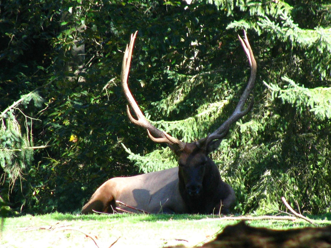 林地公园动物园-西雅图必去景点