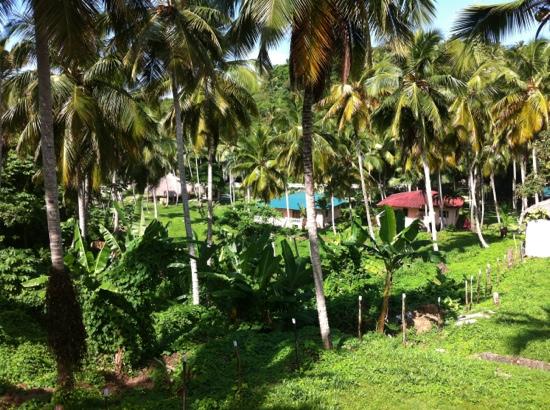 La Tambora Beach Resort-客卧