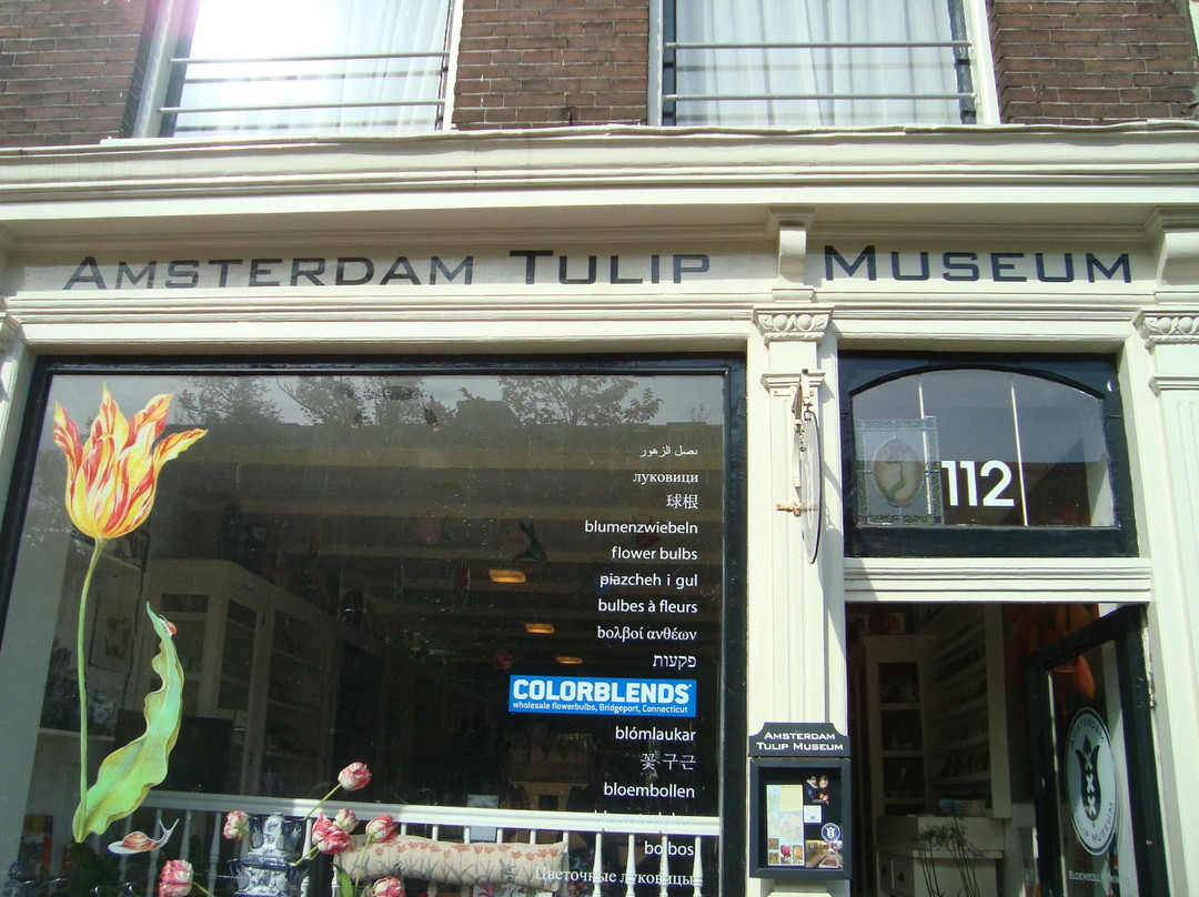阿姆斯特丹郁金香博物馆-阿姆斯特丹必去景点
