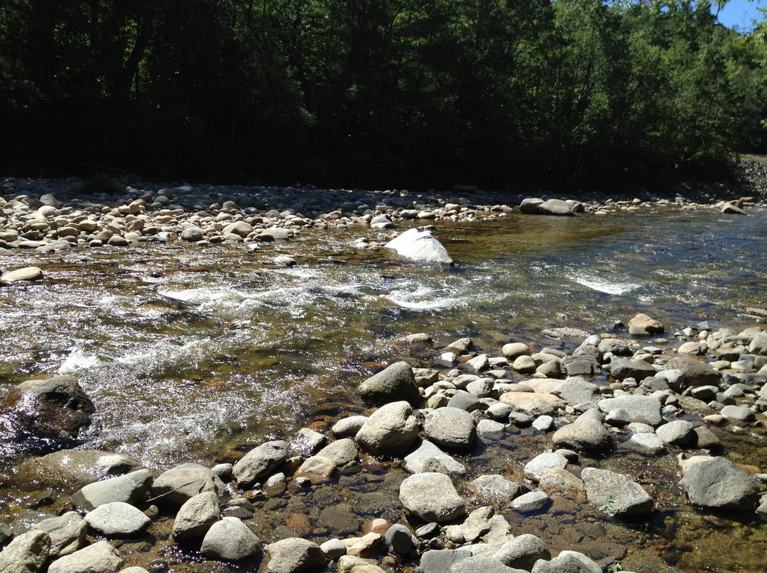 Goose Hollow Campground