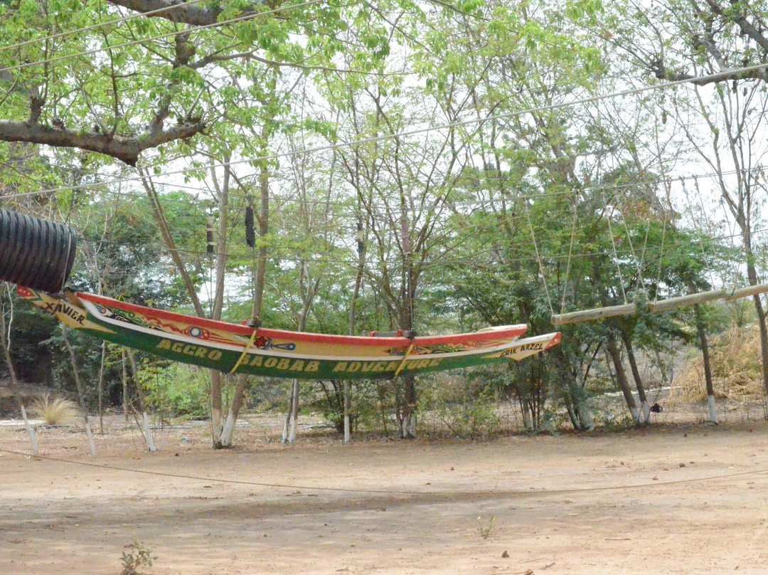 Accrobaobab Adventure景点图片