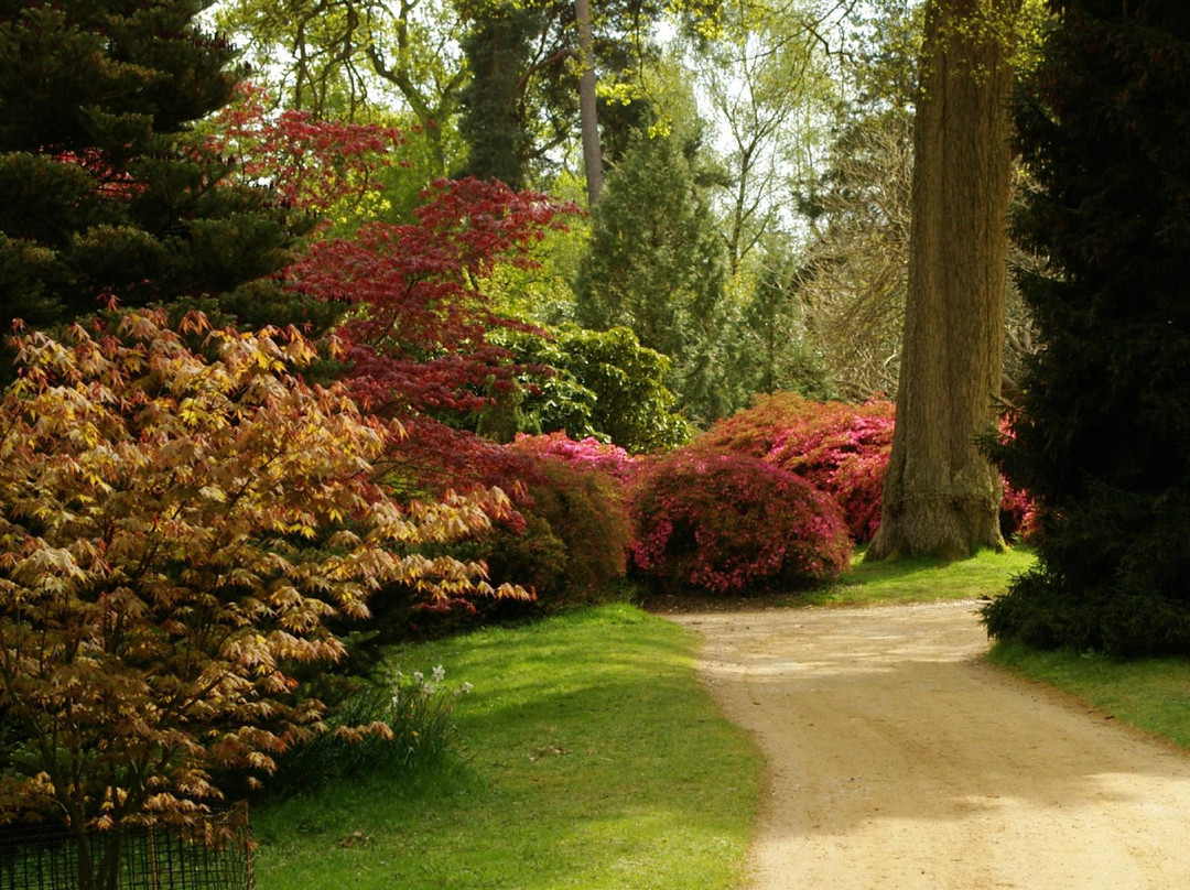 Sheffield Park And Garden景点图片