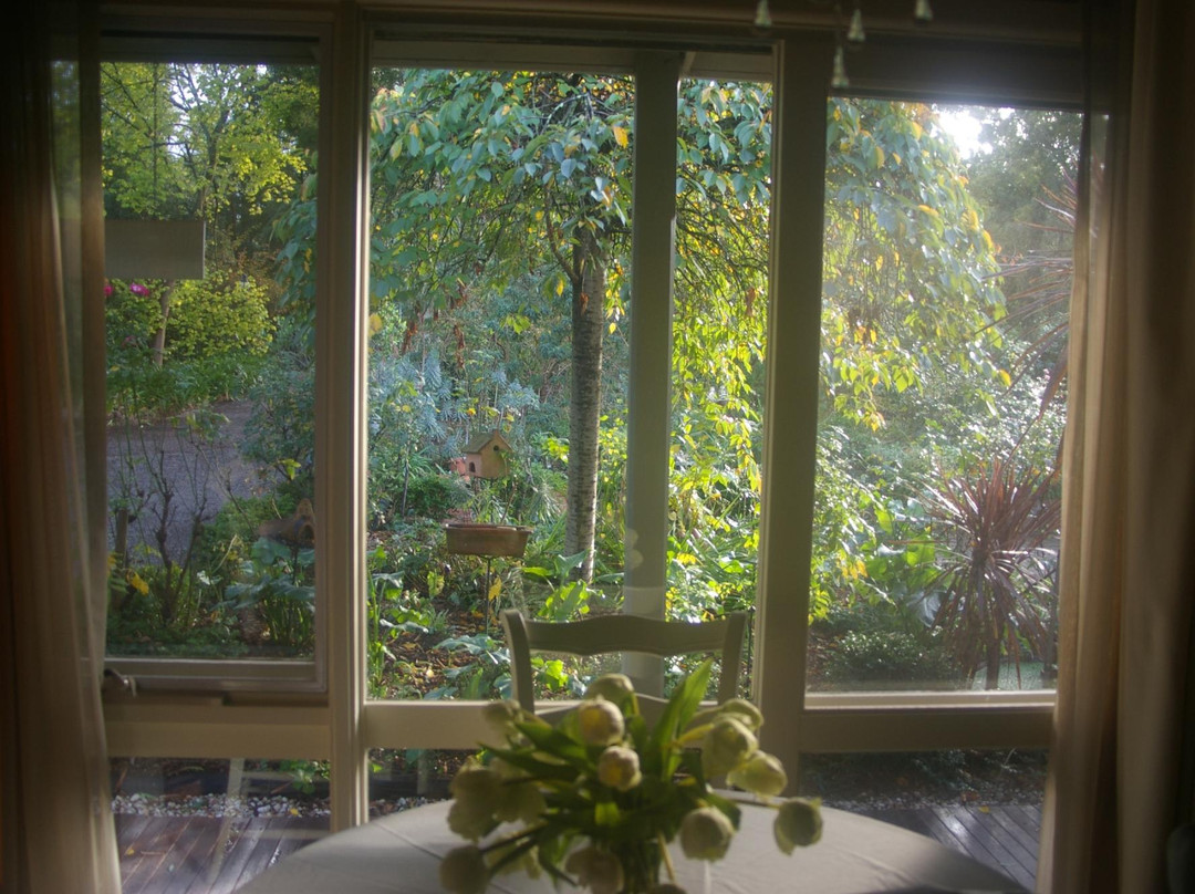 树顶家庭式旅馆主图