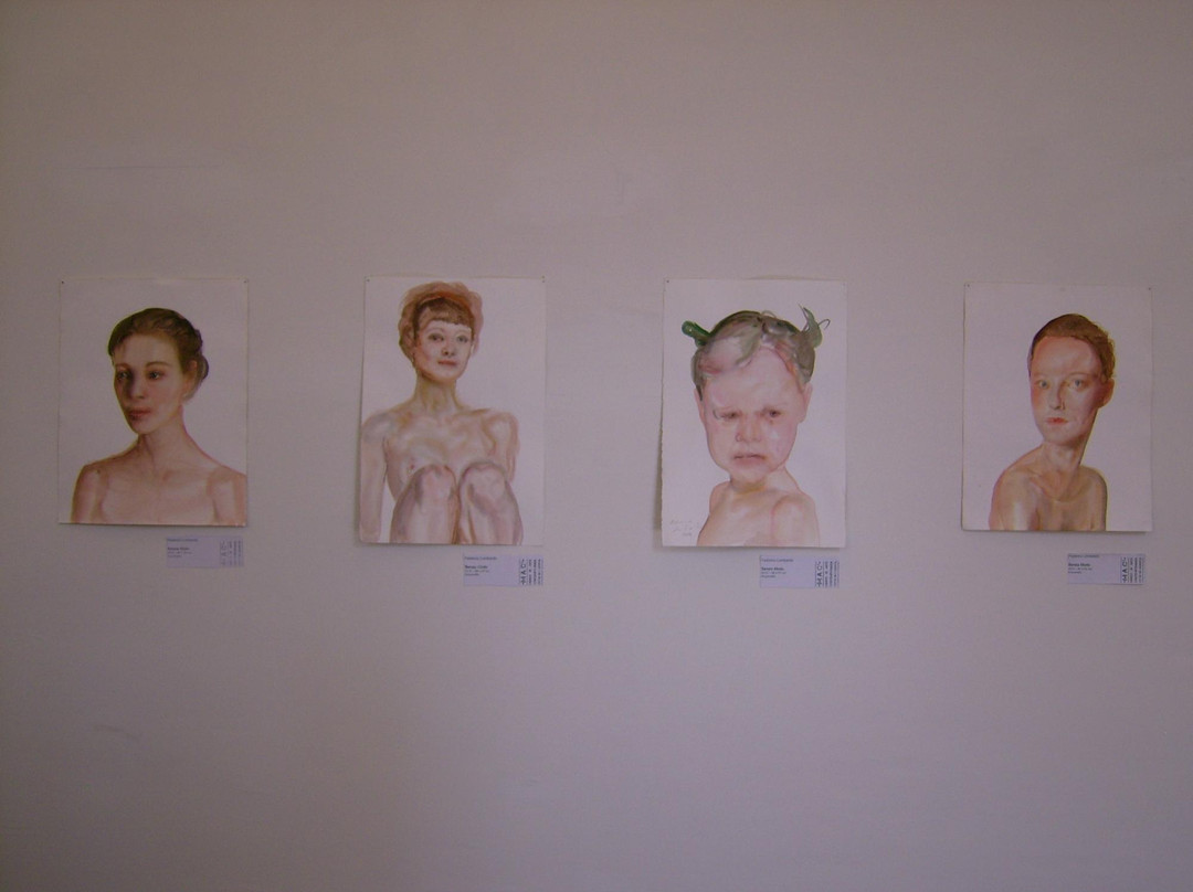 Museo d'Arte Contemporanea景点图片