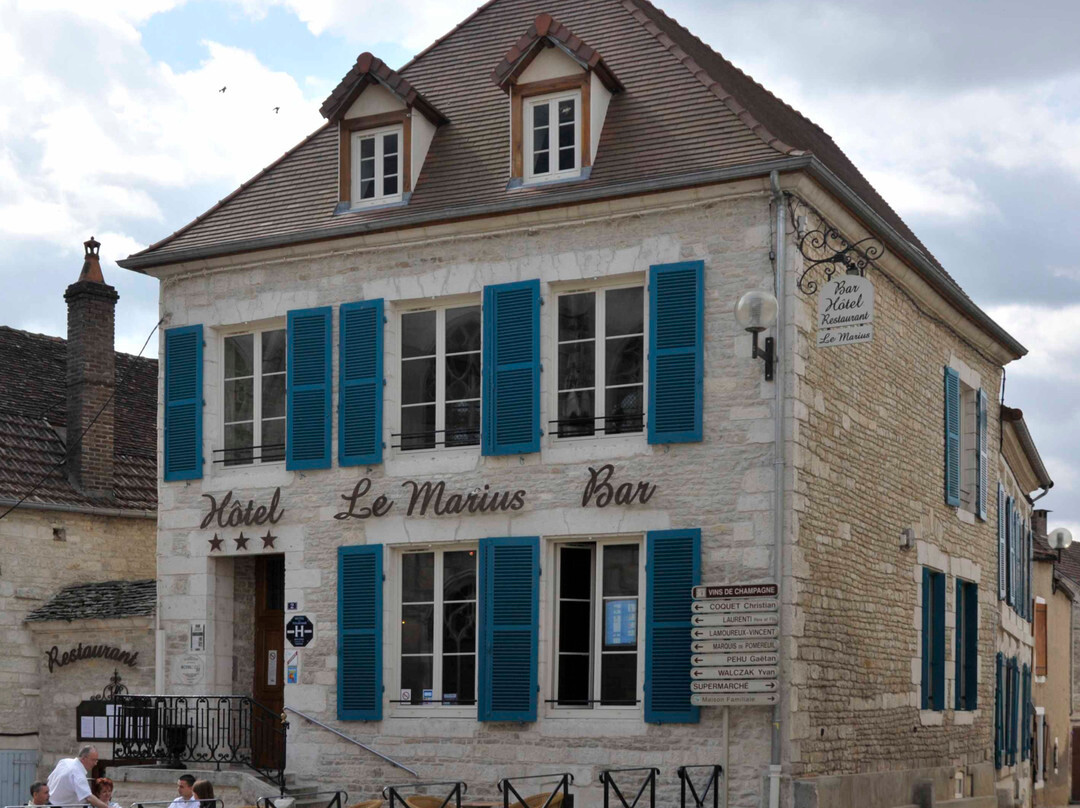 Ville sur Arce酒店住宿-Hotel-Restaurant Le Marius