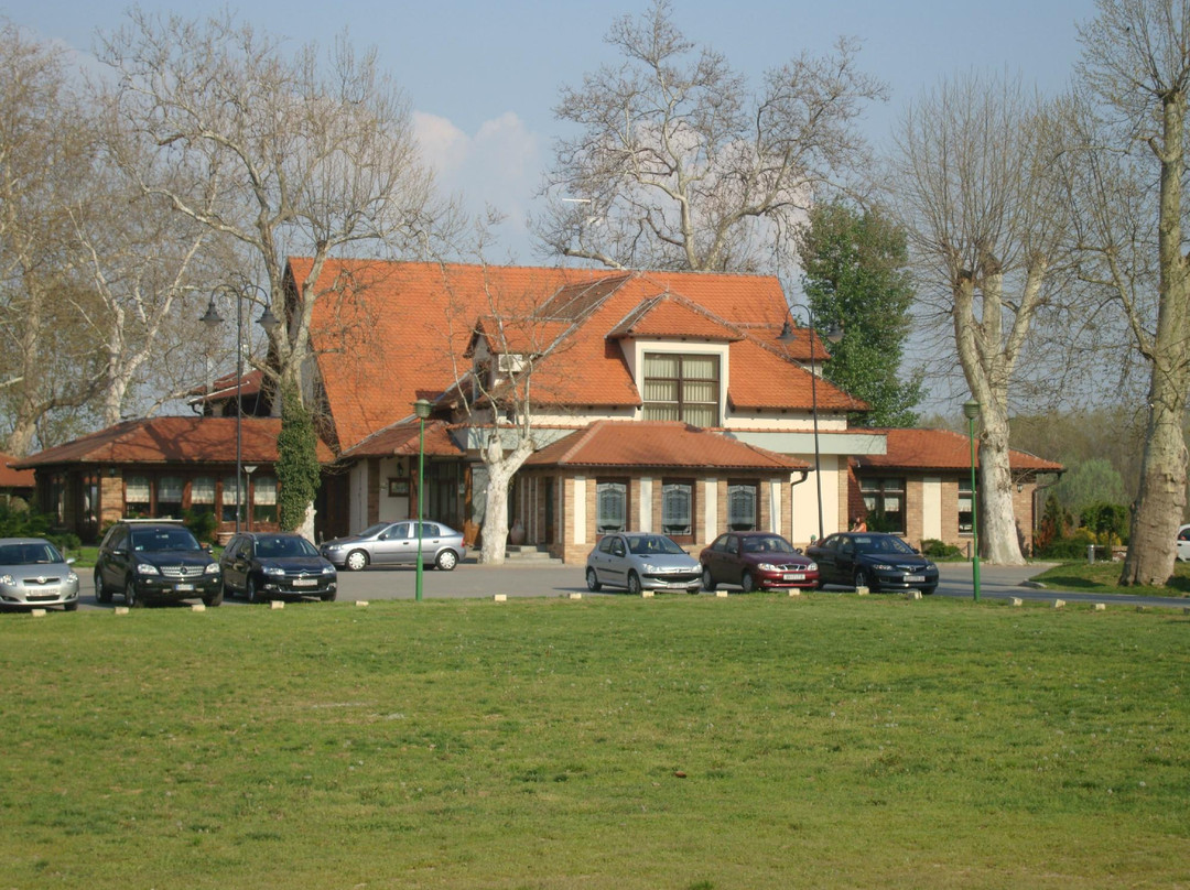 伊洛克酒店住宿-Hotel Dunav