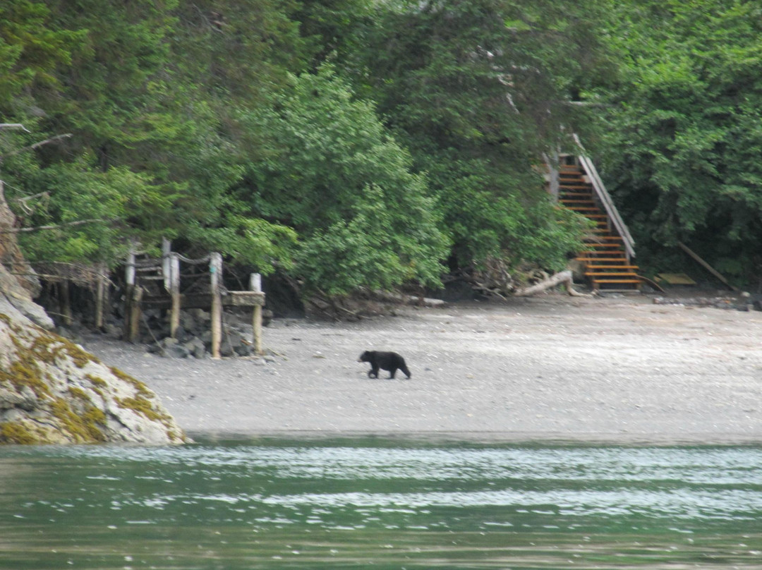 Center for Alaskan Coastal Studies-荷马必去景点