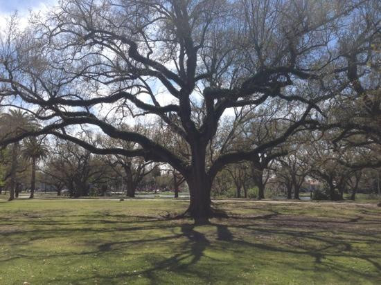 新奥尔良艺术博物馆-新奥尔良必去景点