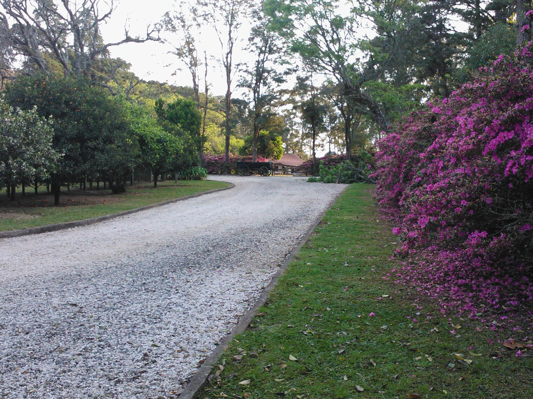 Porto Brazos-Ponta Grossa必去景点