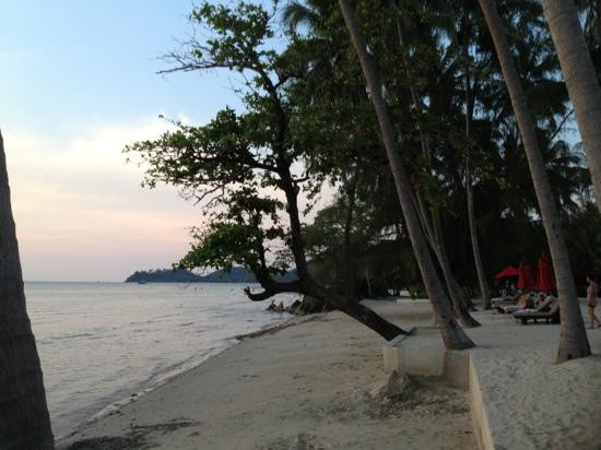 象岛白沙滩-象岛必去景点