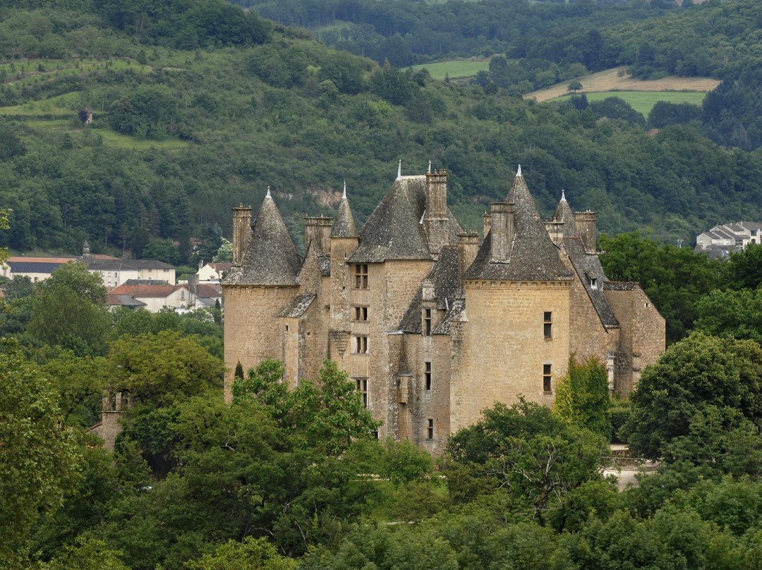 Chateau de Montal景点图片