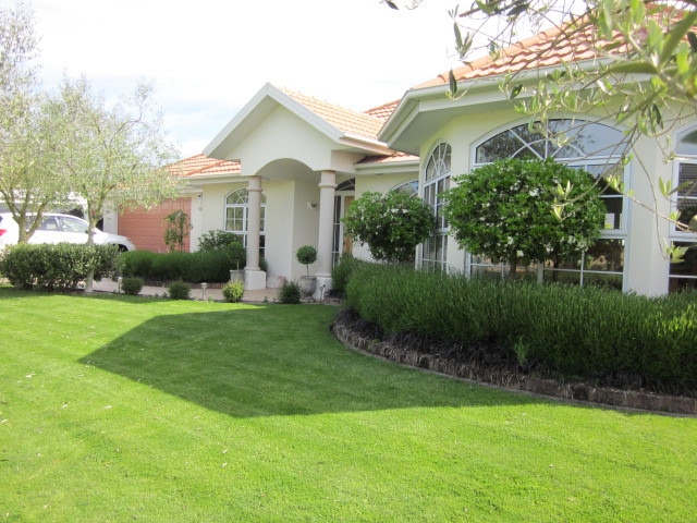 橄榄树住宿加早餐酒店主图