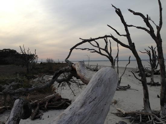 Driftwood Beach-吉柯岛必去景点