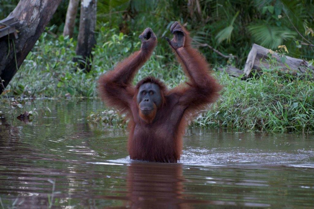 Tahai Lake-帕朗卡拉亚必去景点