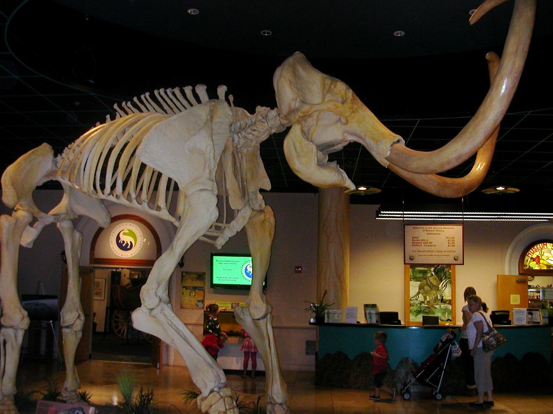 Geo Savvy Tours- Day Tours-Buckeye必去景点