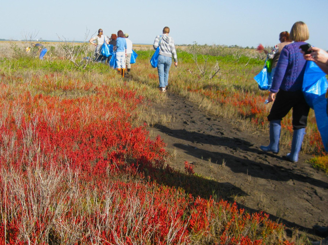 Chincoteague Bay Field Station-Wallops Island必去景点