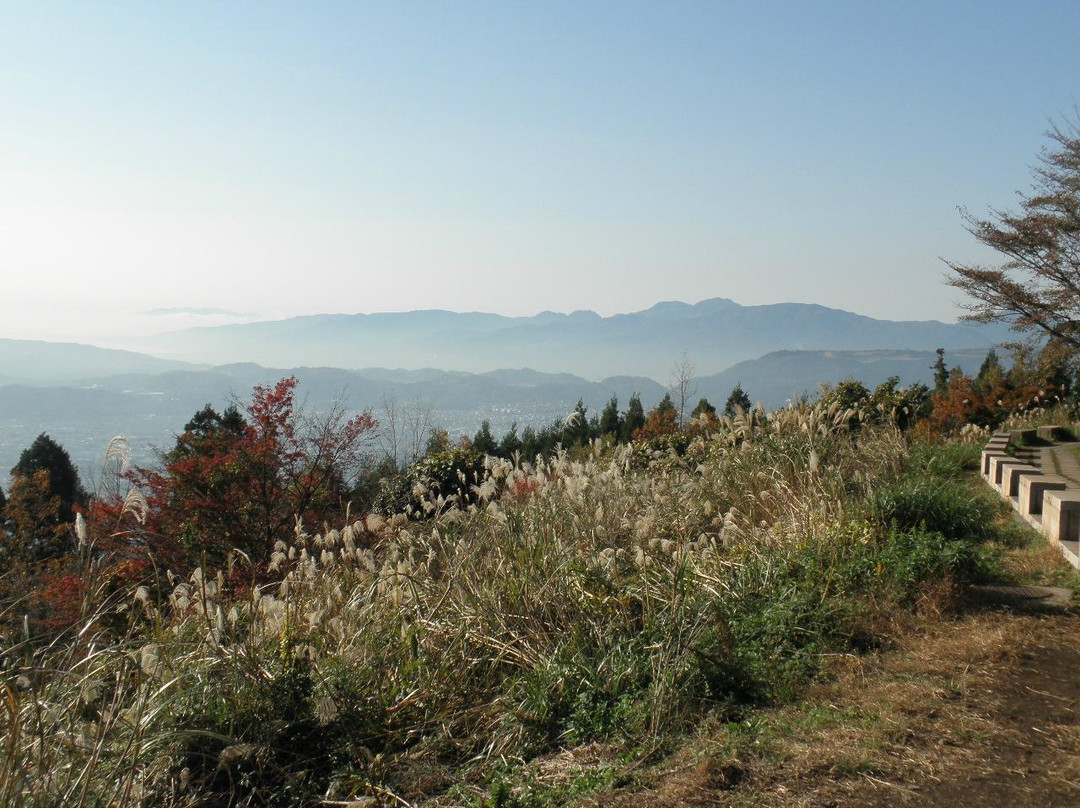Nanohanadai-秦野市必去景点