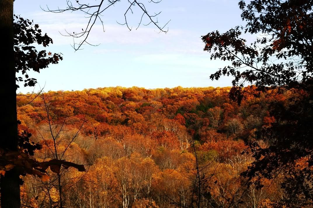 Shades State Park景点图片