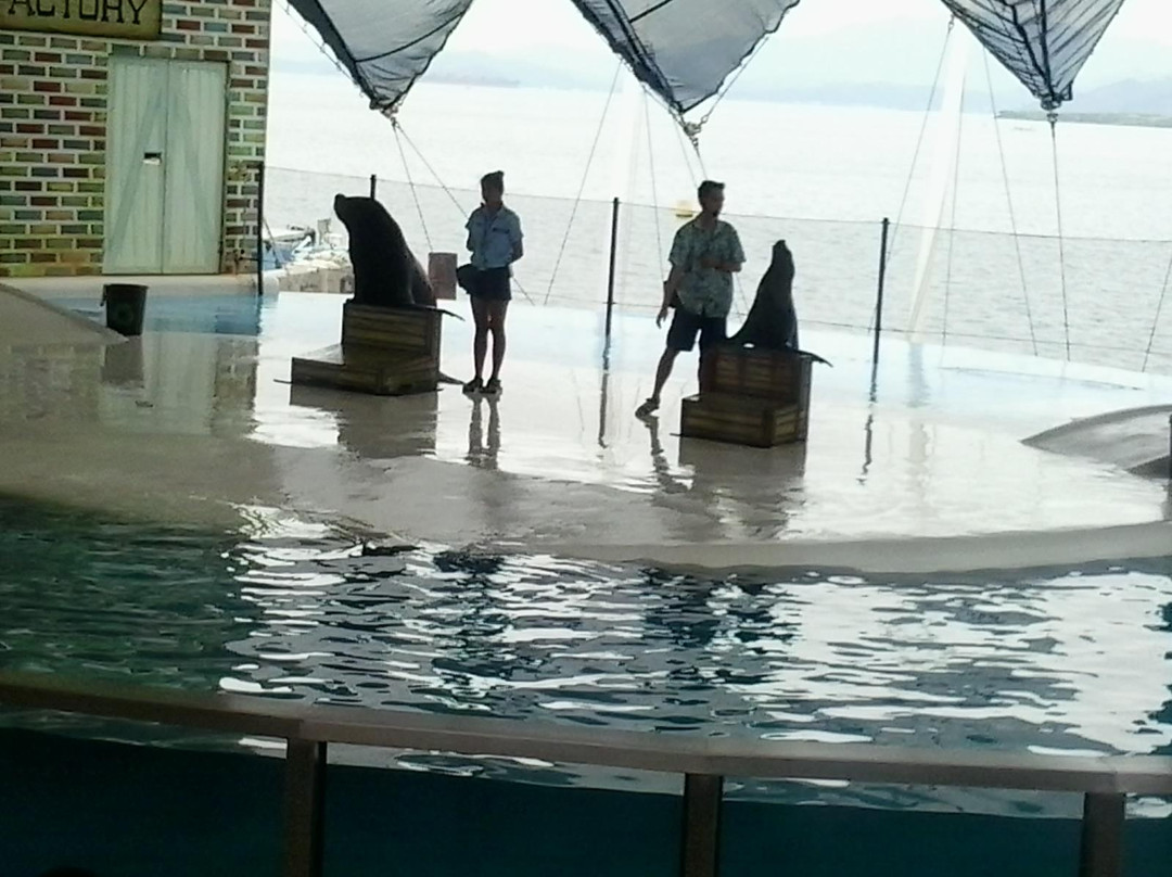 Ocean Adventure-苏比克湾自由贸易区必去景点