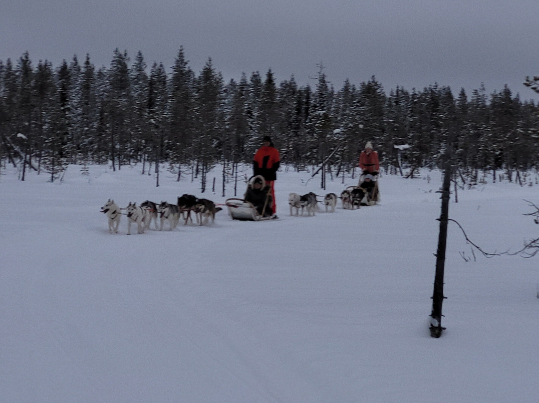 Pyhä Husky farm
