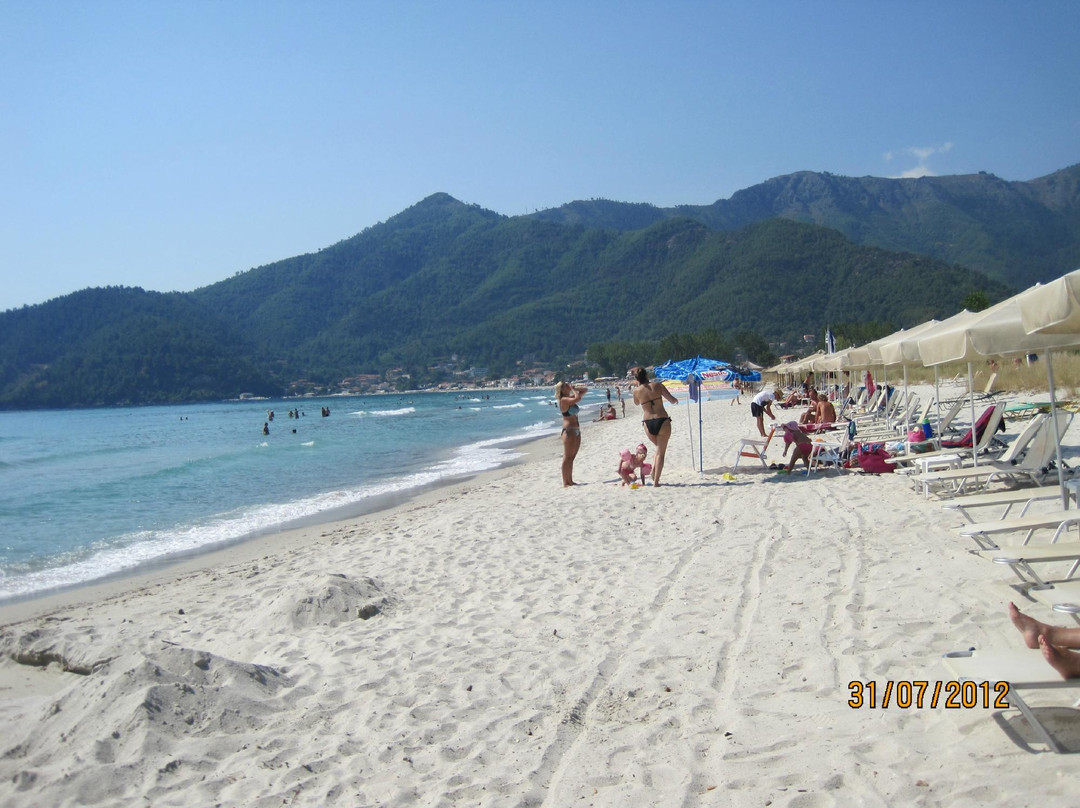 Anastasia Studios主图