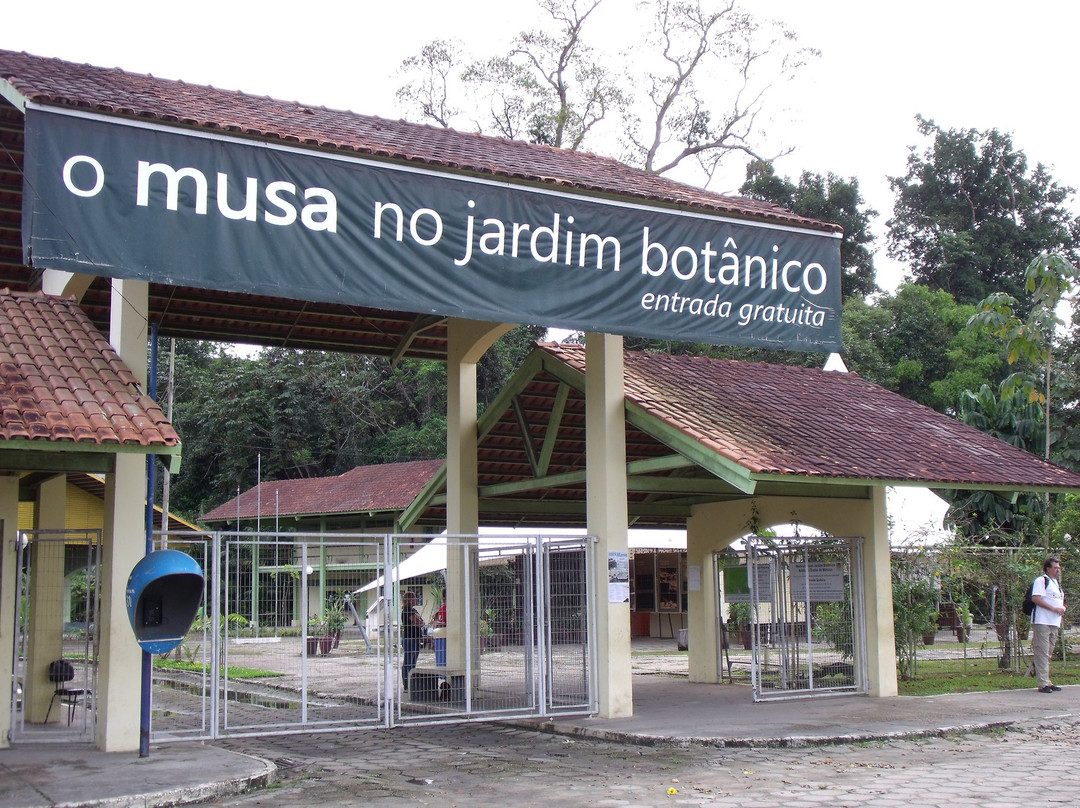 Manaus Botanical Garden - MUSA-玛瑙斯必去景点