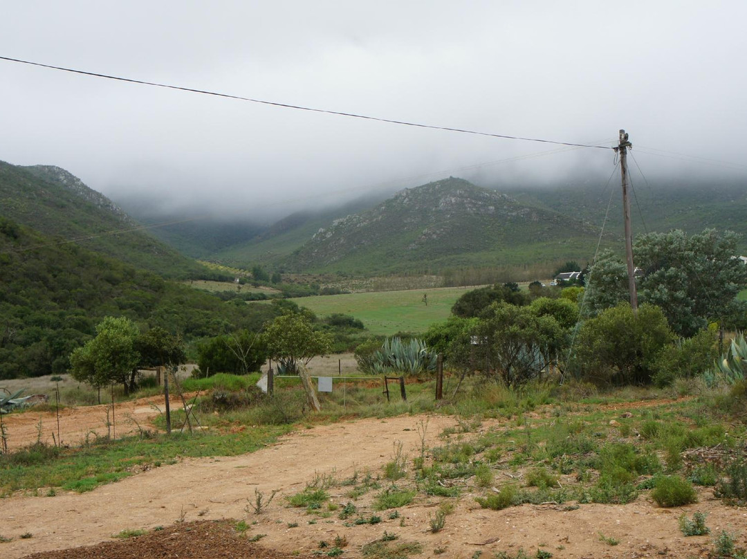 Stormsvlei旅游景点-Farmer Redbeard