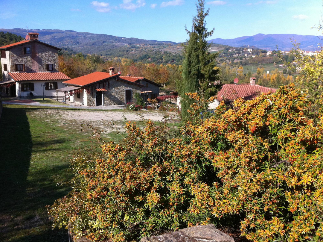 Podere La Casaccia
