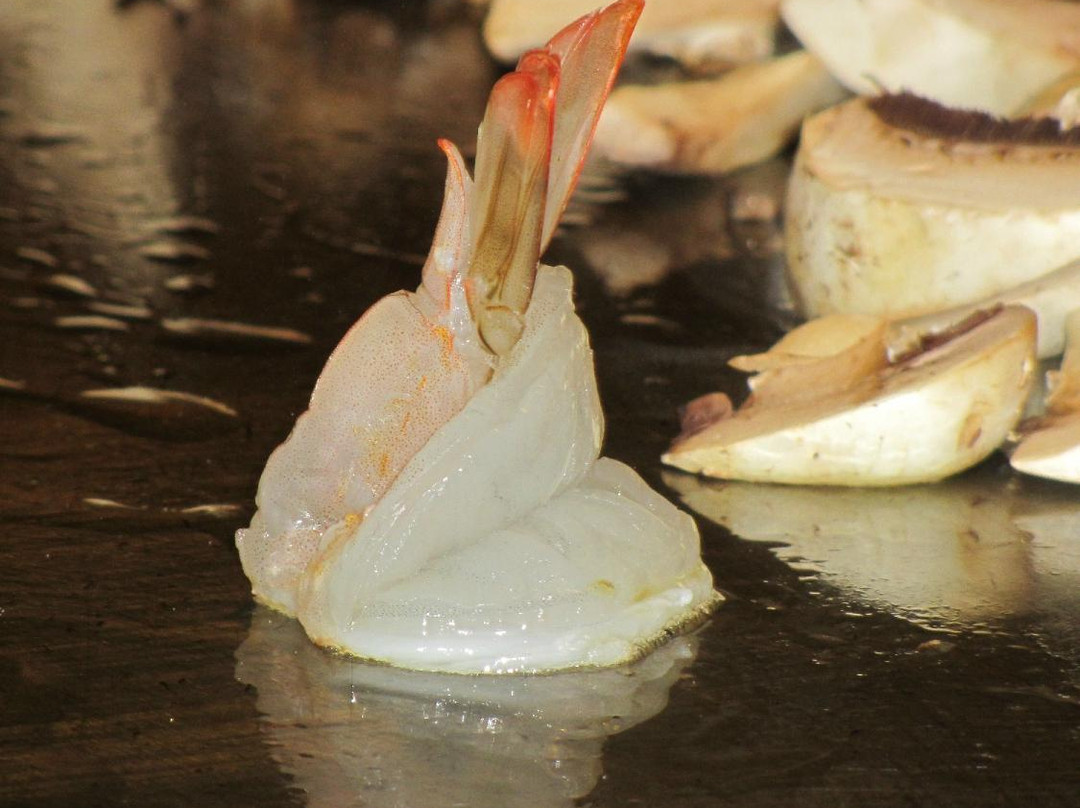 Kyoto Japanese Steak House & Sushi Bar