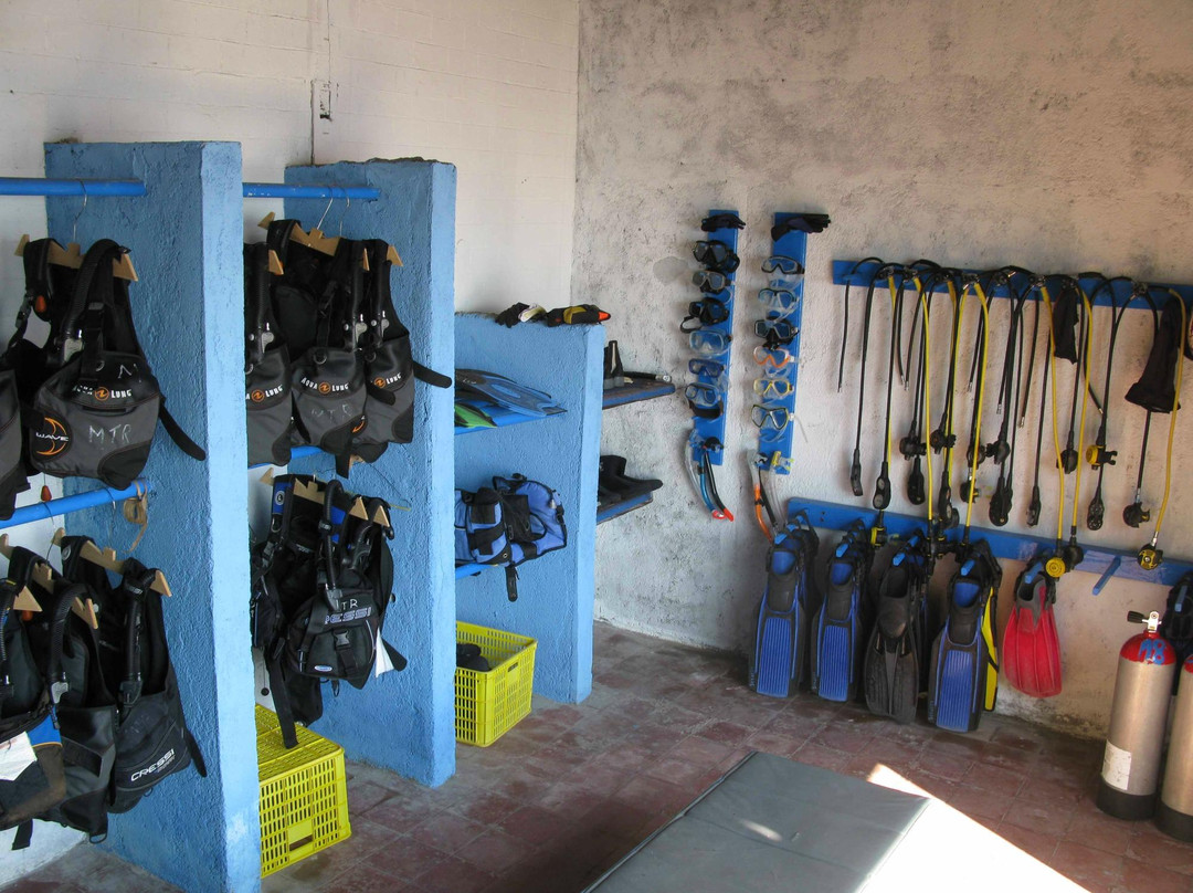 Matahari Tulamben Dive Center-图兰本必去景点