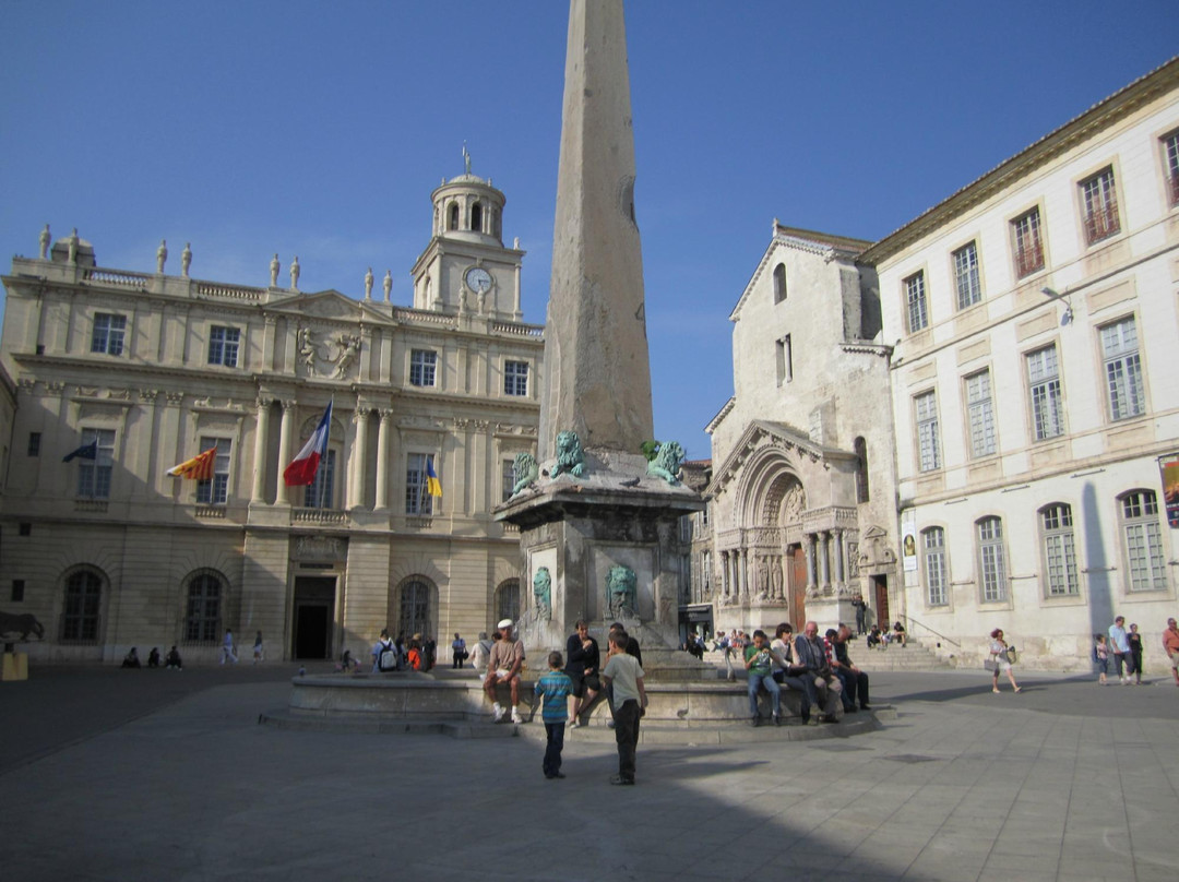 All Provence Private Tours-阿维尼翁必去景点