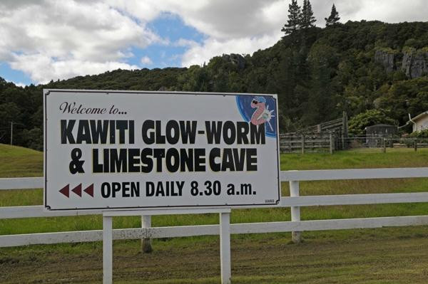 Kawiti Glow Worm Caves景点图片